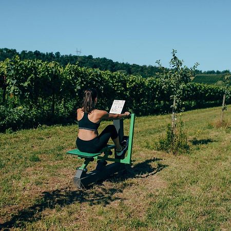 Agriturismo Pratello Padenghe sul Garda Eksteriør bilde