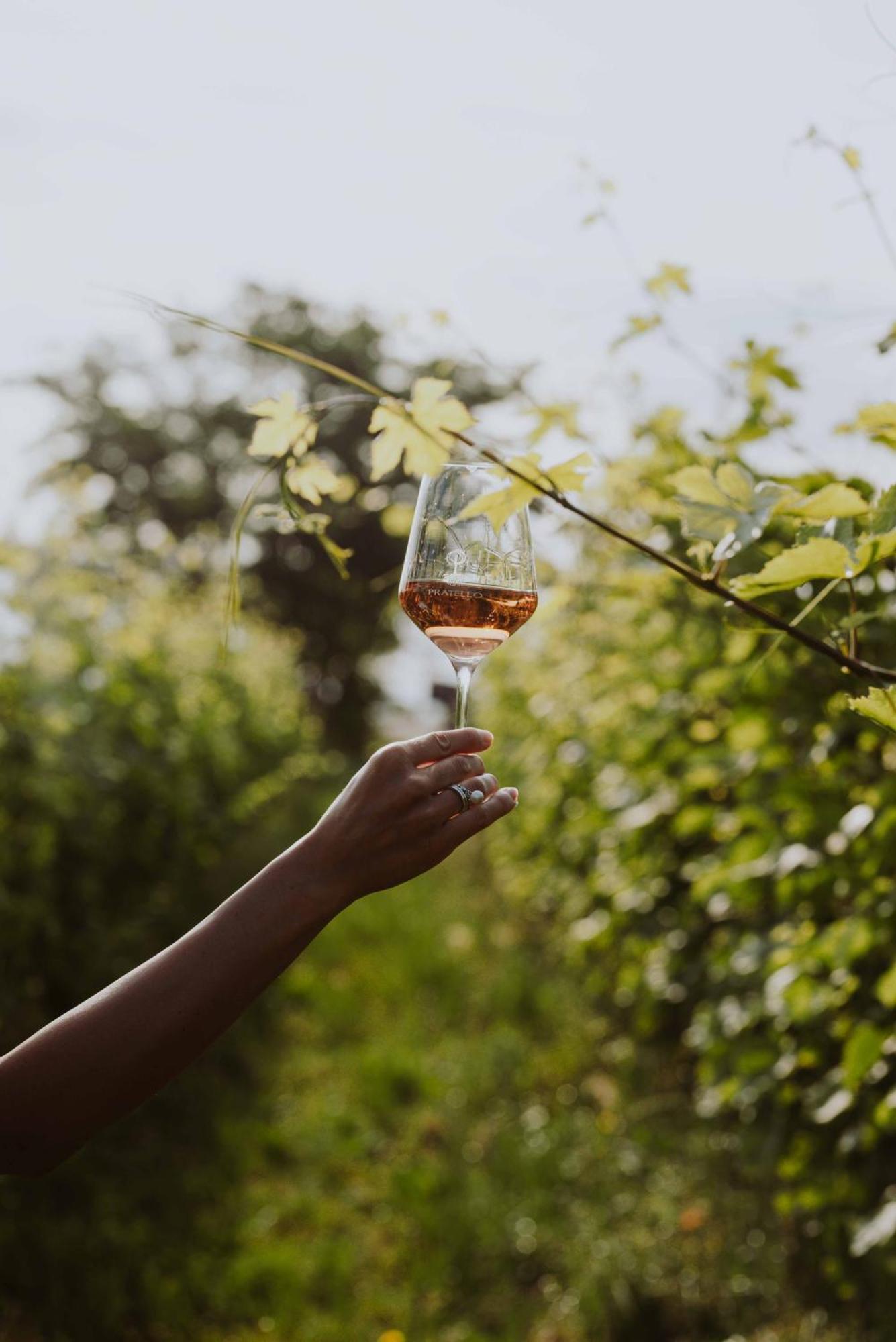 Agriturismo Pratello Padenghe sul Garda Eksteriør bilde
